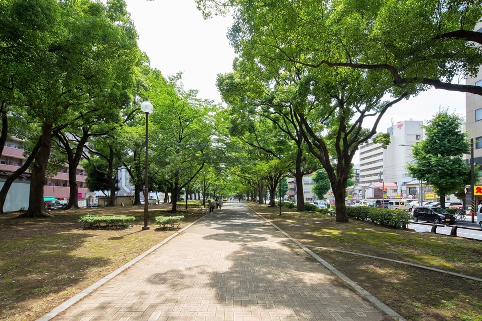 Tourism around(Yokohama Odori Park)