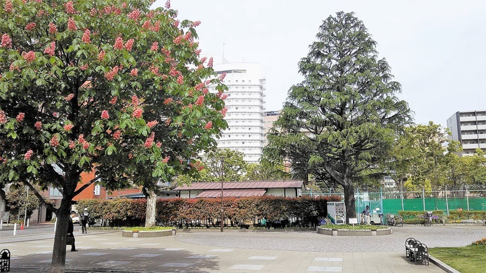 野毛山動物園(のげやまどうぶつえん)